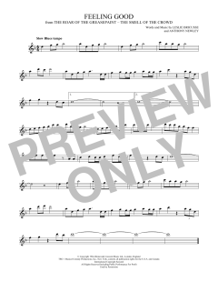 Feeling Good von Nina Simone (Download) 