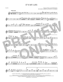 It's My Life von Bon Jovi (Download) 