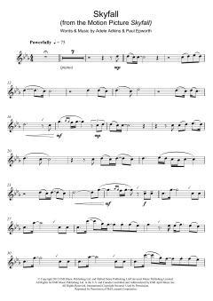 Skyfall von Adele (Download) 