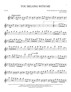 You Belong With Me von Taylor Swift (Download) 
