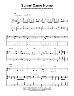 Sunny Came Home von Shawn Colvin (Download) 