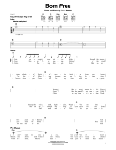 Born Free von Kid Rock (Download) 