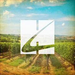 I Maccheroni von Neapolitan Song (Download) 