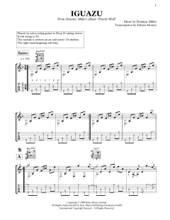 Iguazu von Dominic Miller (Download) 