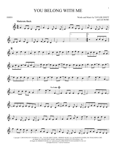 You Belong With Me von Taylor Swift (Download) 
