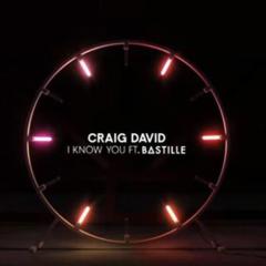 I Know You von Craig David (Download) 