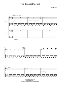 The Twins von Max Richter (Download) 