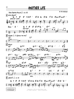 Another Life von Pat Metheny (Download) 