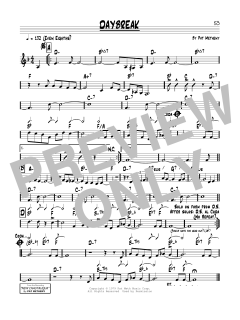 Daybreak von Pat Metheny (Download) 