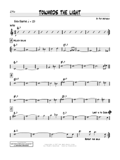 Towards The Light von Pat Metheny (Download) 