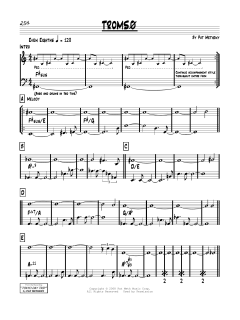 Tromso von Pat Metheny (Download) 