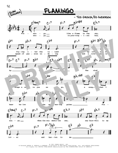Flamingo von Ted Grouya (Download) 