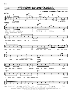 Friends In Low Places von Garth Brooks (Download) 
