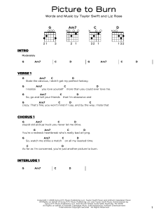 Picture To Burn von Taylor Swift (Download) 
