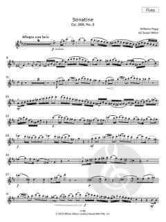 Sonatine No. 3 op. 388 von Wilhelm Popp (Download) 