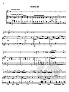 Sonatine No. 3 op. 388 von Wilhelm Popp (Download) 