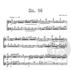 Flute Friction - Duets and Trios, Vol. 3 von Mark Tanner (Download) 
