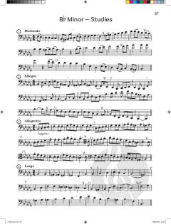Blow the Bassoon Tutor Book 2 von Sue Taylor (Download) 