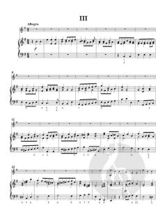 Flute Concerto No. 9 in E minor von Robert Woodcock (Download) 