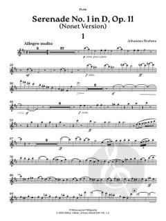 Serenade No. 1 in D, op. 11 von Johannes Brahms (Download) 