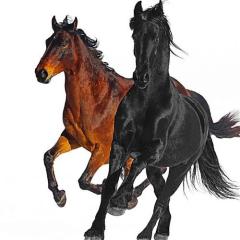 Old Town Road von Atticus Ross (Download) 