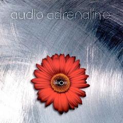 I'm Not The King von Audio Adrenaline (Download) 