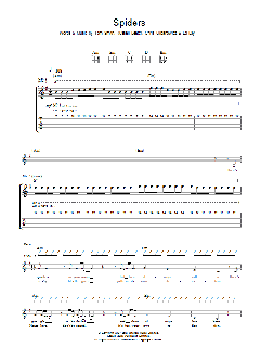 Spiders (Download) 