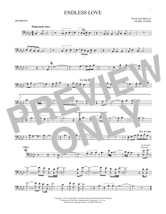Endless Love (Download) 