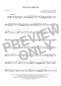 Teenage Dream (Download) 