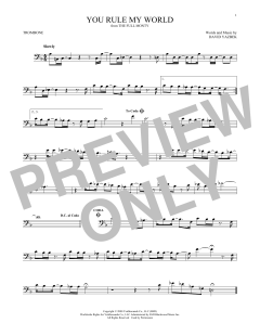 You Rule My World (Download) 