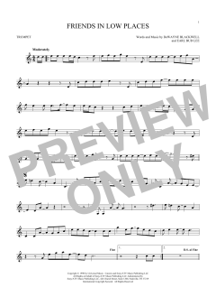 Friends In Low Places (Download) 