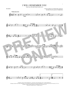 I Will Remember You (Download) 