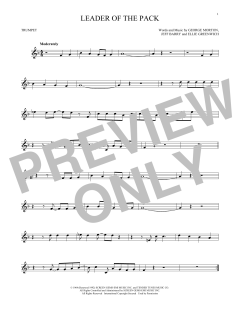 Leader Of The Pack (Download) 