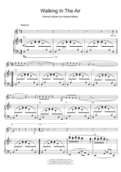 Walking In The Air (Download) 