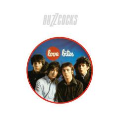 Ever Fallen In Love von The Buzzcocks (Download) 