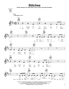 Stitches (Download) 