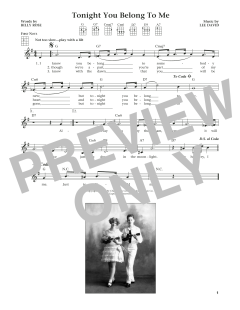Tonight You Belong To Me (Download) 