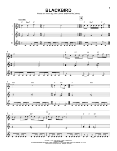 Blackbird (Download) 