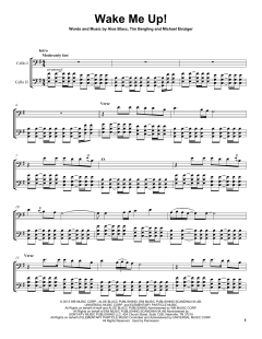 Wake Me Up von Avicii (Download) 