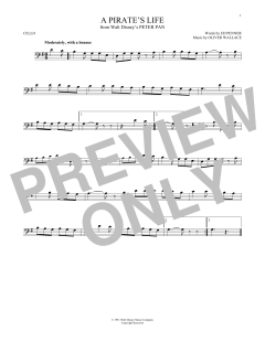 A Pirate's Life von Ed Penner (Download) 