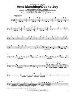 Ants Marching/Ode To Joy von The Piano Guys (Download) 