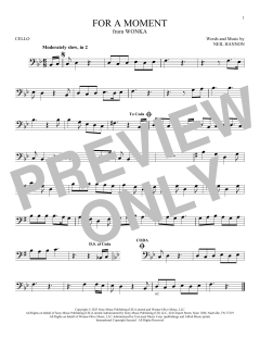For A Moment von Neil Hannon (Download) 