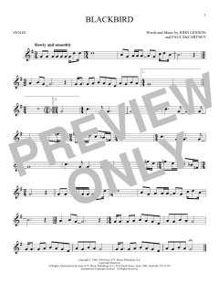 Blackbird von Wings (Download) 