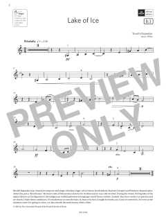 Lake of Ice von Shruthi Rajasekar (Download) 