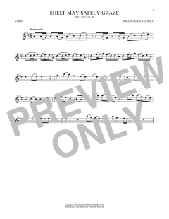 Sheep May Safely Graze von Johann Sebastian Bach (Download) 