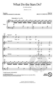 What Do the Stars Do? von Bruce W. Tippette (Download) 