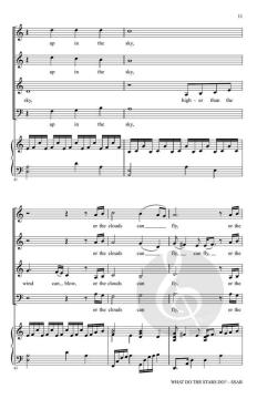 What Do the Stars Do? von Bruce W. Tippette (Download) 