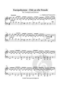 Europahymne - Ode an die Freude von Ludwig van Beethoven (Download) 