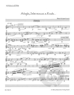 Adagio, Intermezzo und Finale von Peter Michael Hamel (Download) 
