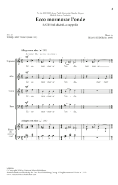 Ecco Mormorar L'onde von Brian Sidders (Download) 